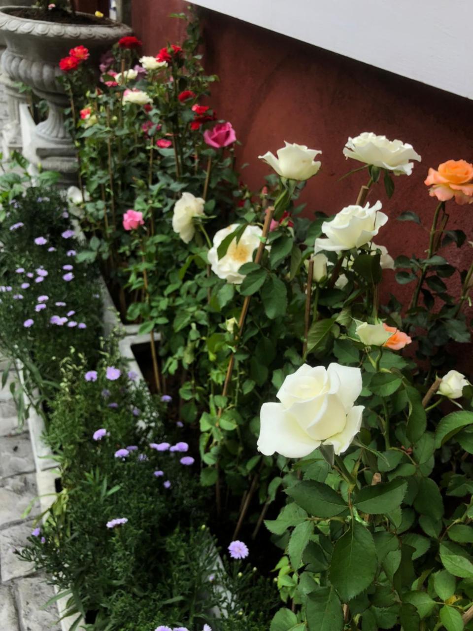 Krinnatra Villa Csonburi Kültér fotó